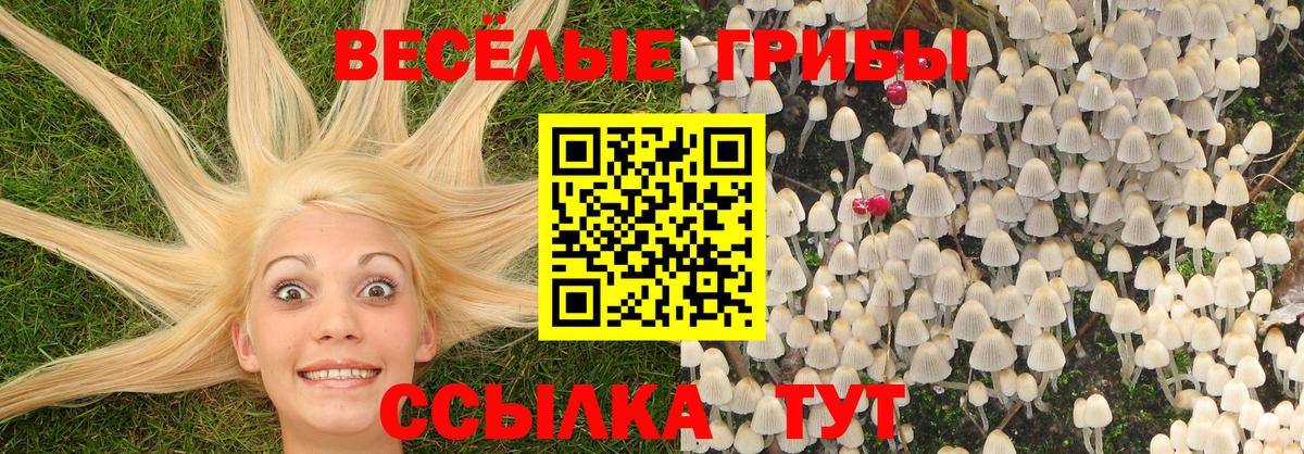 Псилоцибиновые грибы Magic Shrooms  Вход с VPN  Бирск 